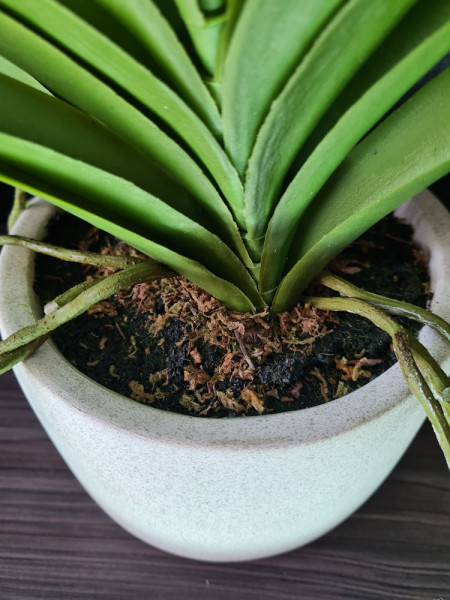 Artificial Plant Orchid Vanda Violet H60cm NKoop EEG