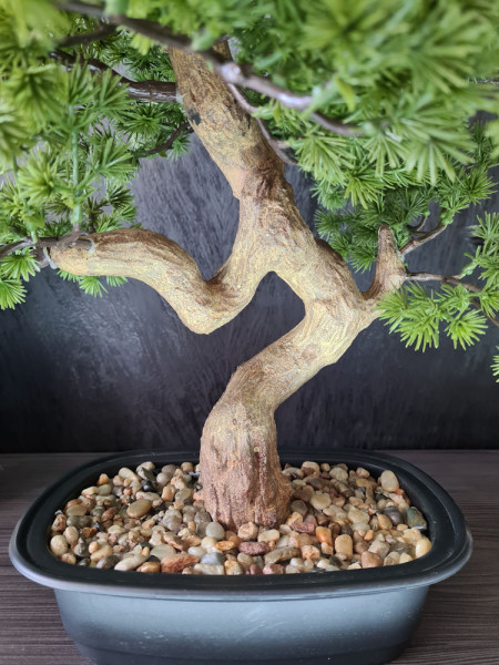 Искусственная Сосна Бонсай мини H44cm NKoop FW