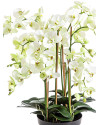Artificial Plant Orchid Phalaenopsis de Luxe Cream H85cm NKoop FW