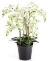 Artificial Plant Orchid Phalaenopsis de Luxe Cream H85cm NKoop FW