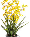 Artificial Plant Oncidium Orchid Yellow H100cm NKoop FW