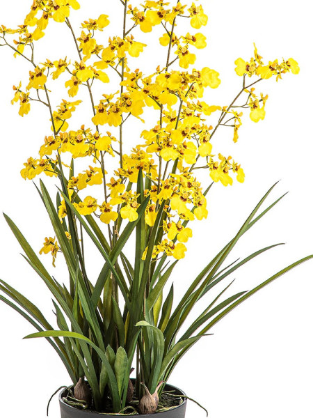 Artificial Plant Oncidium Orchid Yellow H100cm NKoop FW
