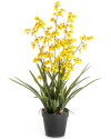 Artificial Plant Oncidium Orchid Yellow H100cm NKoop FW
