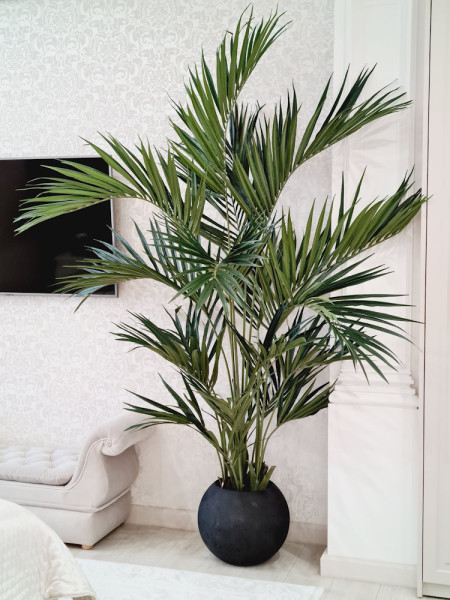 Искусственная пальма Кентия De Luxe H225cm NKoop FW