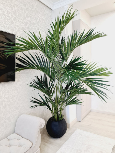 Искусственная пальма Кентия De Luxe H225cm NKoop FW