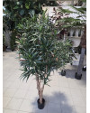 Artificial Plant Dracaena Anita H180cm NKoop FW
