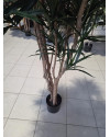 Artificial Plant Dracaena Anita H180cm NKoop FW