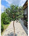 Искусственное Оливковое дерево H140cm NKoop FW