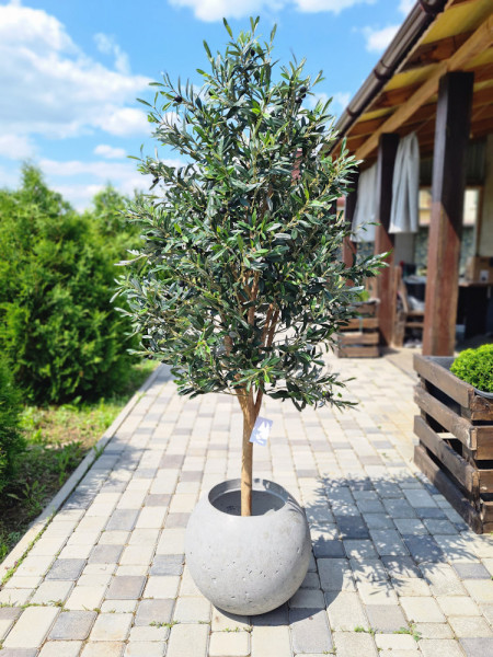Искусственное Оливковое дерево H170cm NKoop FW