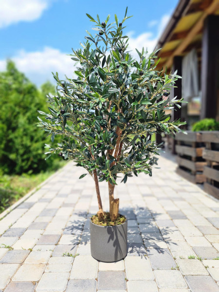 Искусственное Оливковое дерево H120cm NKoop FW