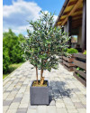 Искусственное Оливковое дерево H120cm NKoop FW