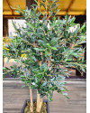 Искусственное Оливковое дерево H120cm NKoop FW
