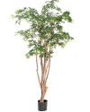 Искусственное дерево Клён Wild Trunk H180cm NKoop FW
