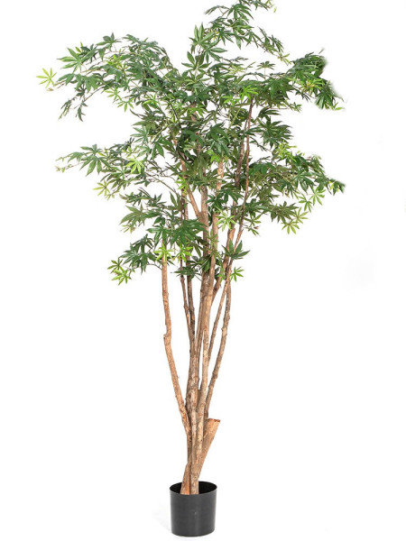 Искусственное дерево Клён Wild Trunk H180cm NKoop FW