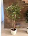 Искусственное дерево Клён Wild Trunk H180cm NKoop FW