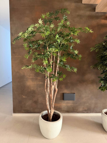 Искусственное дерево Клён Wild Trunk H180cm NKoop FW