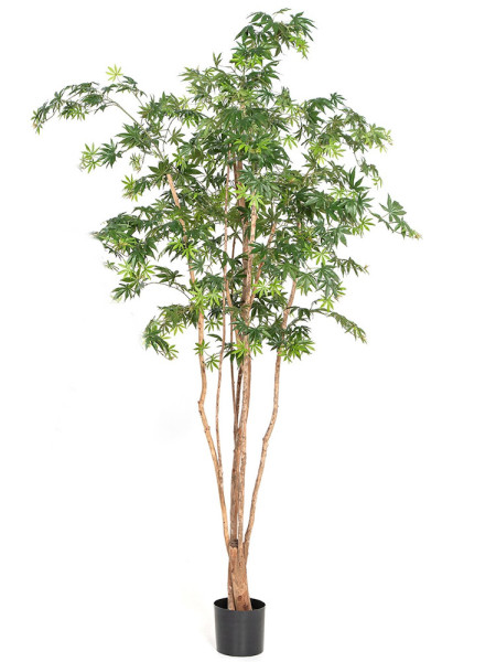 Искусственное дерево Клён Wild Trunk H240cm NKoop FW