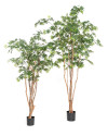 Искусственное дерево Клён Wild Trunk H240cm NKoop FW
