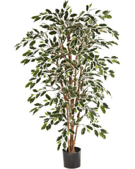 Искусственное растение Ficus Nitida / Фикус Нитида пёстрый H120cm