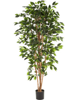 Искусственное растение Ficus Nitida / Фикус Нитида H120cm