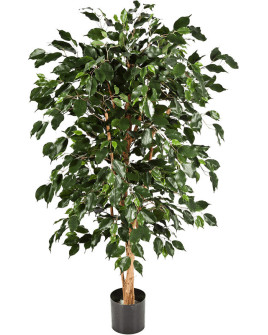 Искусственное растение Ficus Nitida / Фикус Нитида Экзотика H180cm