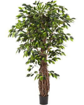 Искусственное растение Ficus Liana De Luxe / Фикус Лиана H300cm