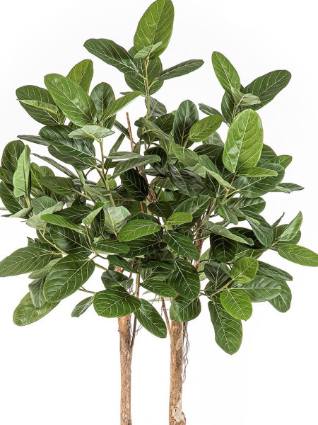 Artificial Plant Ficus Audrey Tree H200cm NKoop FW