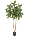 Artificial Plant Ficus Audrey Tree H200cm NKoop FW