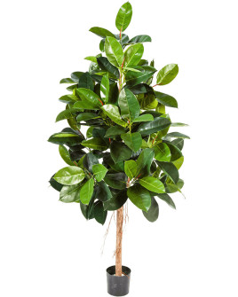 Искусственное растение Ficus Elastica / Фикус Эластика H180cm