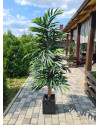 Artificial Plant Longifolia De Luxe Tree H180cm NKoop FW
