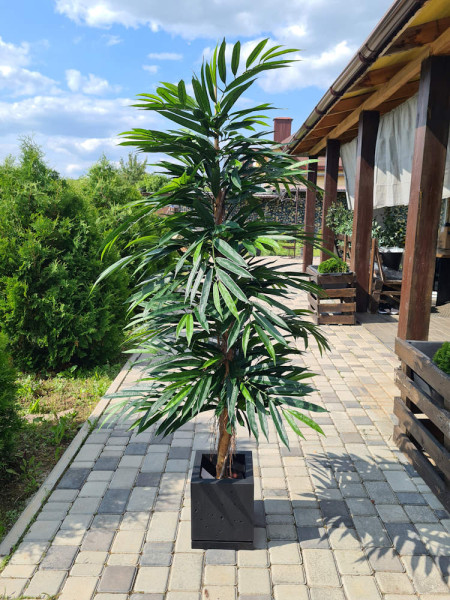 Artificial Plant Longifolia De Luxe Tree H180cm NKoop FW