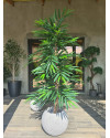 Artificial Plant Longifolia De Luxe Tree H180cm NKoop FW