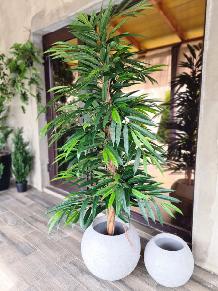 Artificial Plant Longifolia De Luxe Tree H180cm NKoop FW