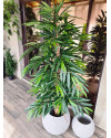 Artificial Plant Longifolia De Luxe Tree H180cm NKoop FW