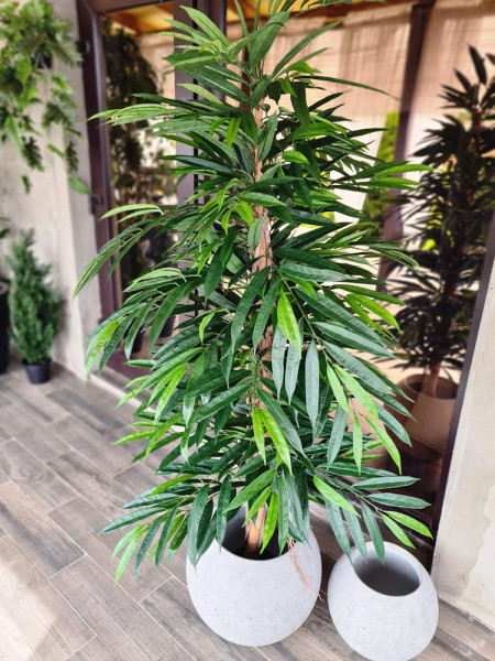 Artificial Plant Longifolia De Luxe Tree H180cm NKoop FW