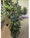 Artificial Plant Schefflera Column variegated H180cm NKoop FW