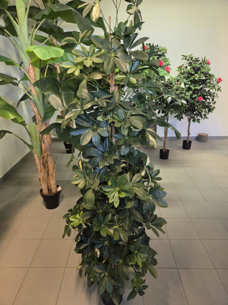 Artificial Plant Schefflera Column variegated H180cm NKoop FW