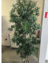 Искусственное растение Podocarpus Reflexa / Подокарпус H150cm NKoop FW