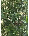 Искусственное растение Podocarpus Reflexa / Подокарпус H150cm NKoop FW