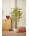 Искусственное растение Bamboo Japanese / Бамбук Японский H180cm NKoop EEG