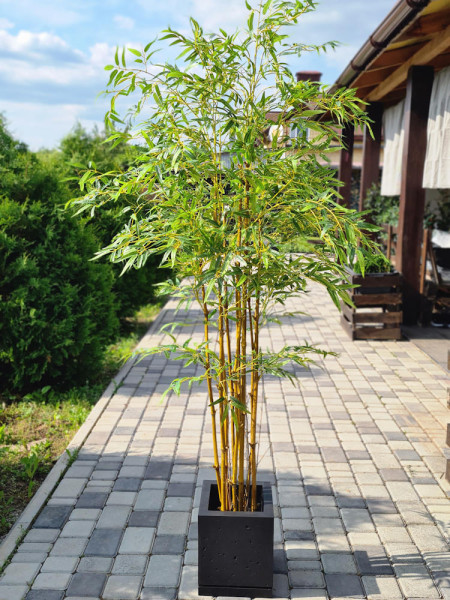 Искусственное растение Bamboo Japanese / Бамбук Японский H180cm NKoop EEG