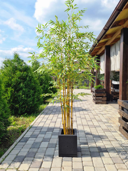 Искусственное растение Bamboo Japanese / Бамбук Японский H180cm NKoop EEG