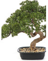 Искусственная Сосна Бонсай мини H44cm NKoop FW