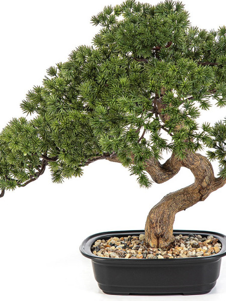Искусственная Сосна Бонсай мини H44cm NKoop FW
