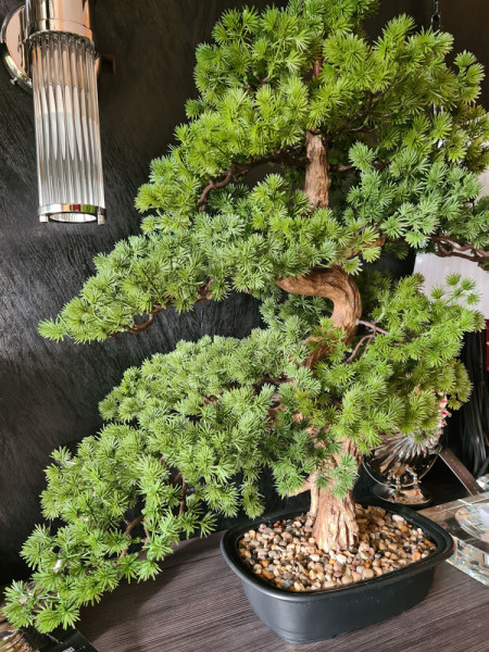 Искусственная Сосна Бонсай мини H68cm NKoop FW