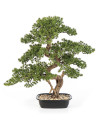 Искусственная Сосна Бонсай мини H68cm NKoop FW