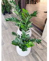 Искусственный Замиокулькас изумрудный H65cm NKoop FW