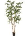 Искусственное Оливковое дерево Oriental Black H210cm NKoop FW