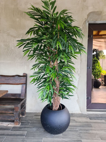 Искусственный фикус Лонгифолия лиана De Luxe H210cm NKoop FW