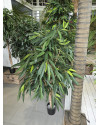 Искусственное растение Ficus Longifolia Royal Tree / Фикус Лонгифолия H150cm NKoop FW